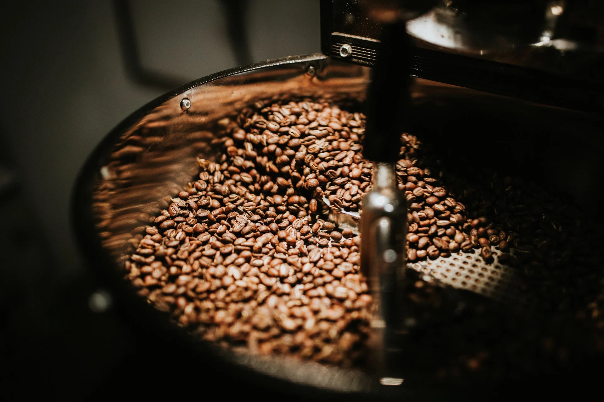 Roasted coffee beans in a large metal drum.